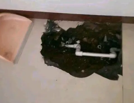 广平卫生间测漏水多少钱